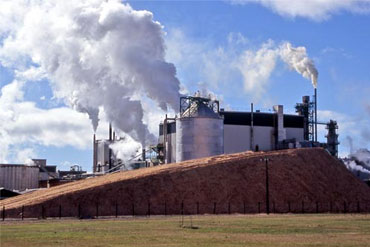 PAPER AND PULP PLANT